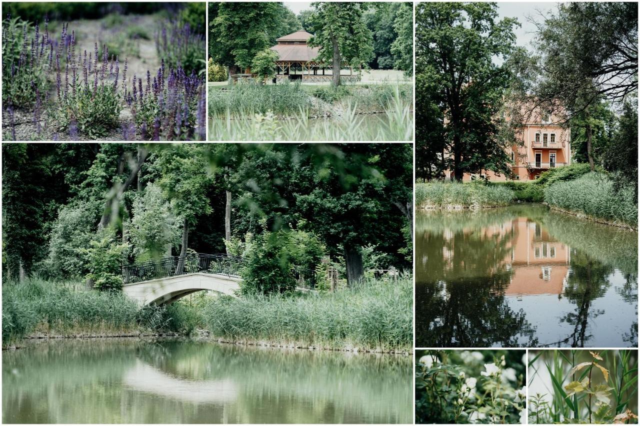 Palac Basen&spa